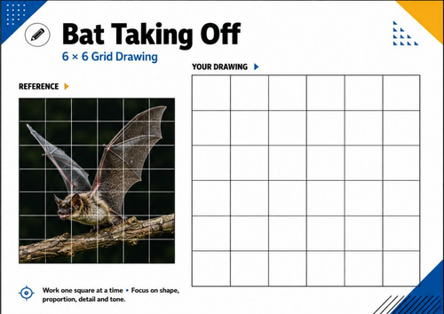 Bat Taking Off Grid Drawing Worksheet | KS3 KS4 Halloween Art