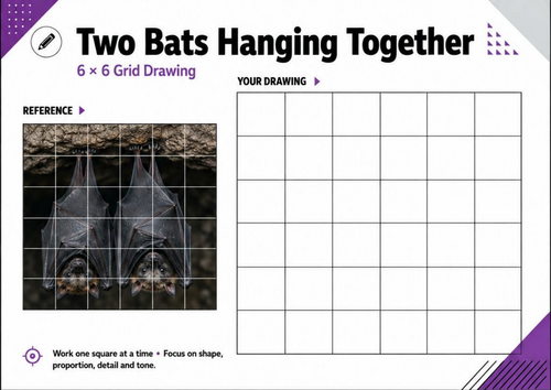 Two Bats Hanging Together Grid Drawing Worksheet | KS3 KS4 Art
