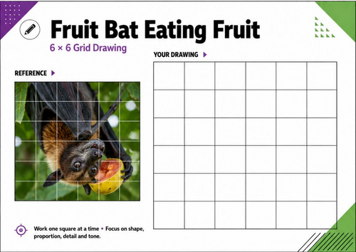 Fruit Bat Eating Fruit Grid Drawing Worksheet | Animal Art KS3 KS4