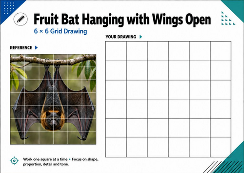 Fruit Bat with Open Wings Grid Drawing Worksheet | KS3 KS4 Art