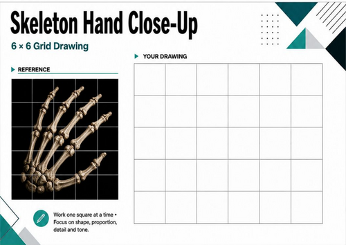 Skeleton Hand Grid Drawing Worksheet | Anatomy Drawing KS3 KS4 Art