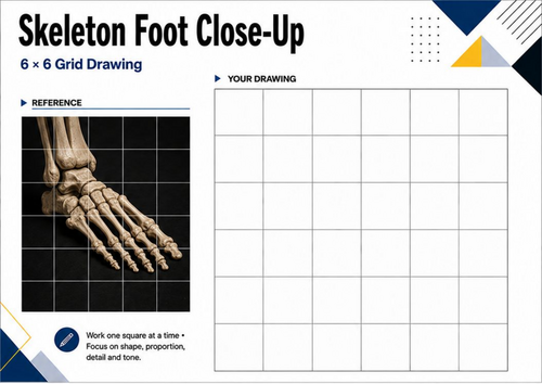 Skeleton Foot Grid Drawing Worksheet | Anatomy Art KS3 KS4