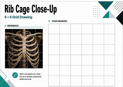 Human Rib Cage Grid Drawing Worksheet | Skeleton Anatomy Art KS3 KS4