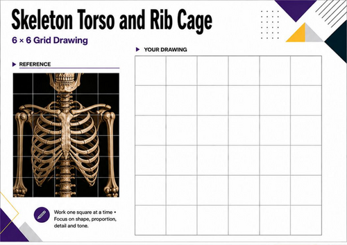 Skeleton Torso & Rib Cage Grid Drawing | Anatomy Worksheet KS3 KS4