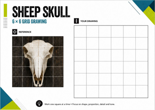 Sheep Skull Grid Drawing Worksheet | 6x6 Drawing Activity | KS3 KS4 Art