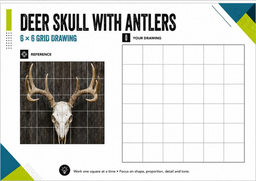 Deer Skull with Antlers Grid Drawing Worksheet | KS3 KS4 Art