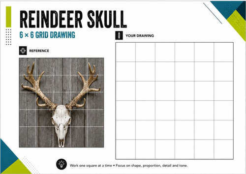 Reindeer Skull Grid Drawing Worksheet | 6x6 Observational Drawing | KS3 KS4 Art