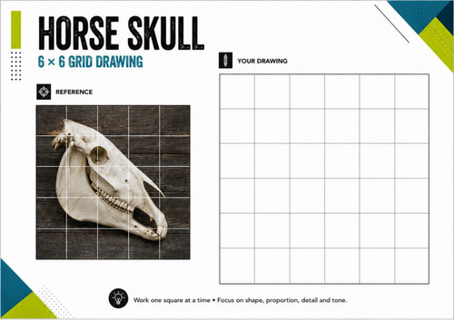 Horse Skull Grid Drawing Worksheet | Animal Anatomy Drawing | KS3 KS4 Art