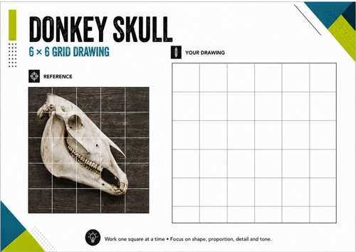 Donkey Skull Grid Drawing Worksheet | 6x6 Drawing Activity | KS3 KS4 Art