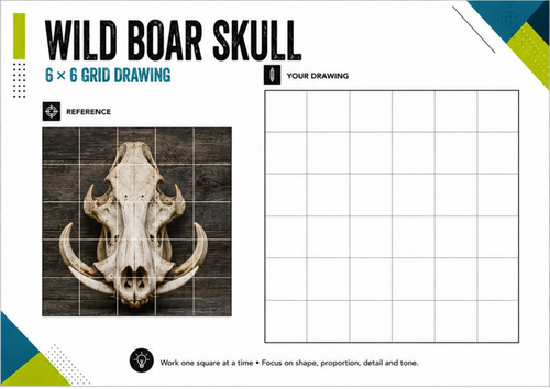 Wild Boar Skull Grid Drawing Worksheet | Observational Art Activity | KS3 KS4