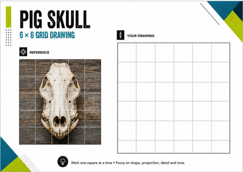 Pig Skull Grid Drawing Worksheet | 6x6 Observational Drawing | KS3 KS4 Art