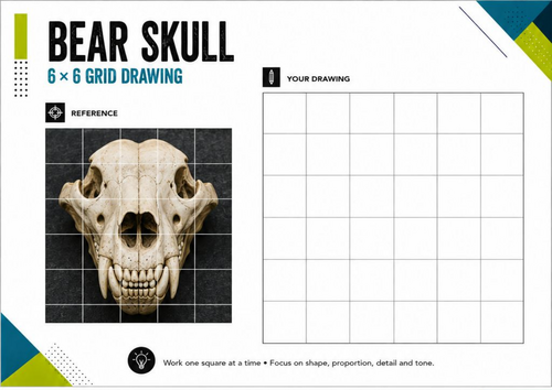 Bear Skull Grid Drawing Worksheet | Animal Anatomy Art Activity | KS3 KS4