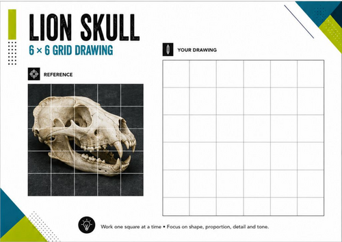 Lion Skull Grid Drawing Worksheet | 6x6 Observational Drawing | KS3 KS4 Art