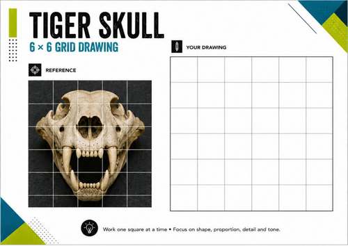 Tiger Skull Grid Drawing Worksheet | 6x6 Animal Skull Drawing | KS3 KS4 Art