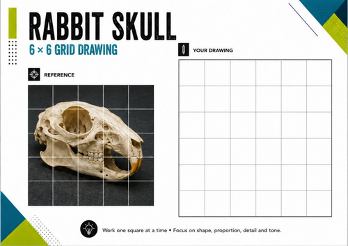 Rabbit Skull Grid Drawing Worksheet | Observational Drawing Activity | KS3 KS4 Art