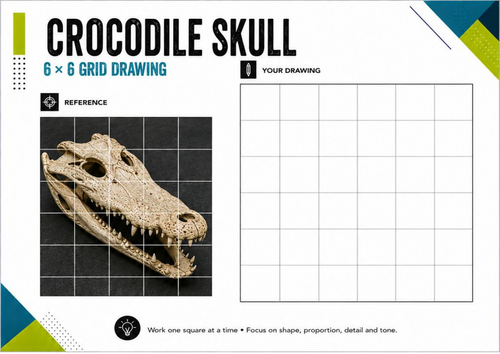 Crocodile Skull Grid Drawing Worksheet | Reptile Observational Drawing | KS3 KS4