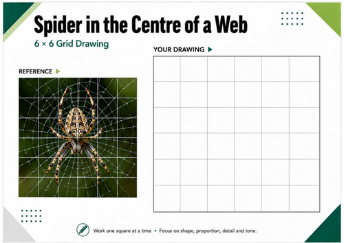 Spider in the Centre of a Web Grid Drawing Worksheet | KS3 & KS4 Art
