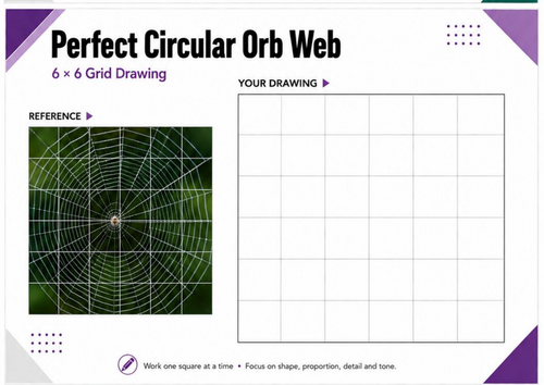 Circular Orb Spider Web Grid Drawing Worksheet | Pattern & Symmetry Art | KS3 & KS4
