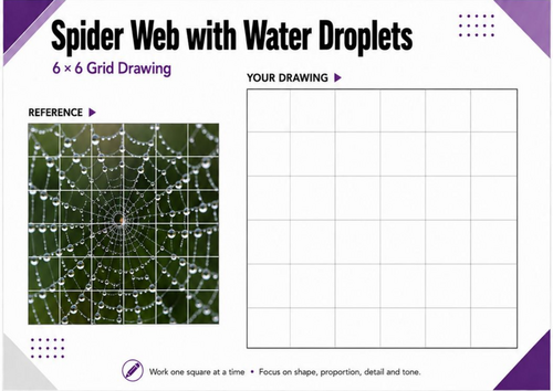 Spider Web with Water Droplets Grid Drawing Worksheet | Detailed Art Activity