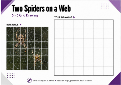 Two Spiders on a Web Grid Drawing Worksheet | Observational Art | KS3 & KS4