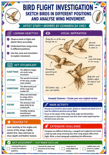 Leonardo da Vinci Bird Flight Drawing Worksheet – Movement & Observation KS3 Art