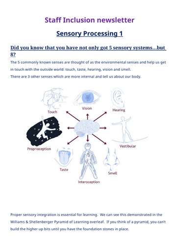 Staff inclusion newsletter - sensory processing
