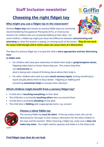 Staff inclusion newsletter - sensory fidget toys