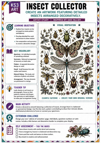Dan Hillier Inspired Insect Collector | KS3 Art Worksheet | Insect Illustration