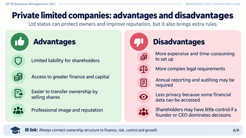 draft types of business entitities