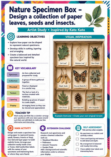 Kate Kato Artist Study – Nature Specimen Box | KS3 Paper Art & Nature Worksheet