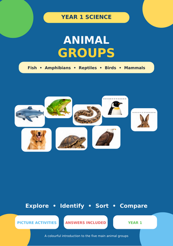 Year 1 Science – Animal Groups | Fish, Amphibians, Reptiles, Birds & Mammals