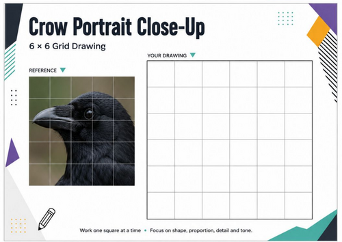 Crow Portrait Close-Up Grid Drawing Worksheet | KS3 & KS4 Art