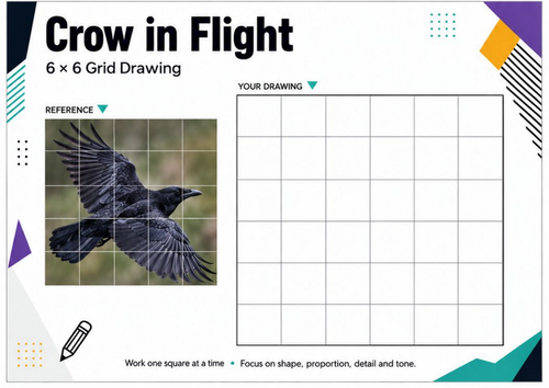 Crow in Flight Grid Drawing Worksheet | KS3 & KS4 Observational Drawing