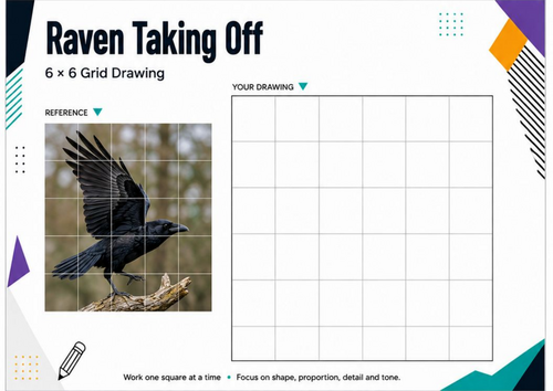 Raven Taking Off Grid Drawing Worksheet | KS3 KS4 Art
