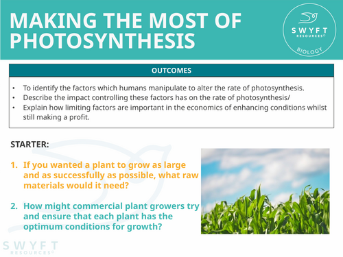 NEW WJEC (2026) GCSE Science - Making the most of photosynthesis