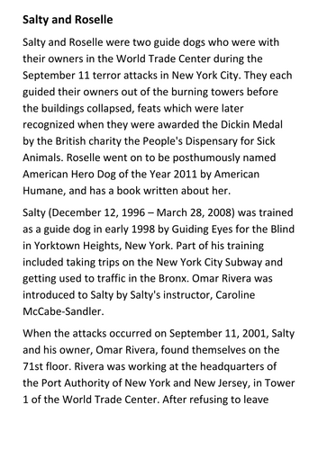 Salty and Roselle Guide Dogs of 9/11 Handout