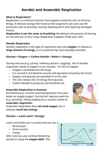Keystage 3/4 - Science Comprehension Activity - Easy Cover Lessons