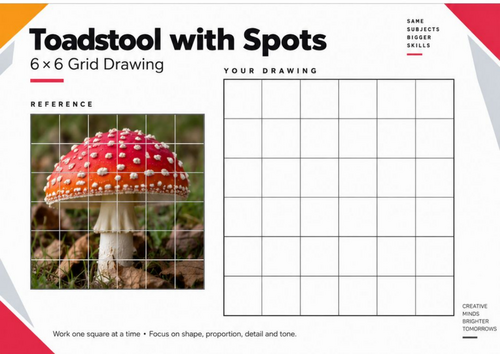 Toadstool with Spots Grid Drawing Worksheet | KS3 & KS4 Art