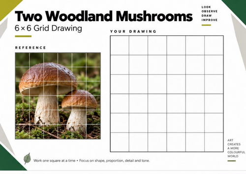 Two Woodland Mushrooms Grid Drawing Worksheet | KS3 & KS4 Art