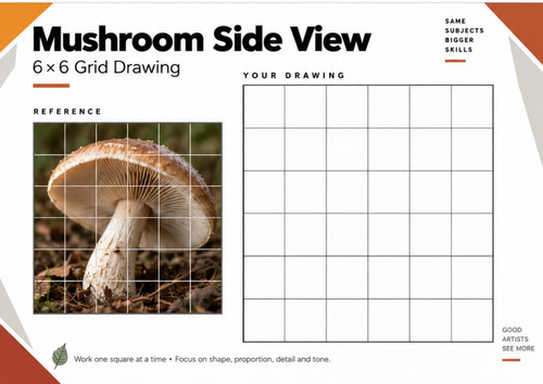 Mushroom Side View Grid Drawing Worksheet | KS3 & KS4 Art