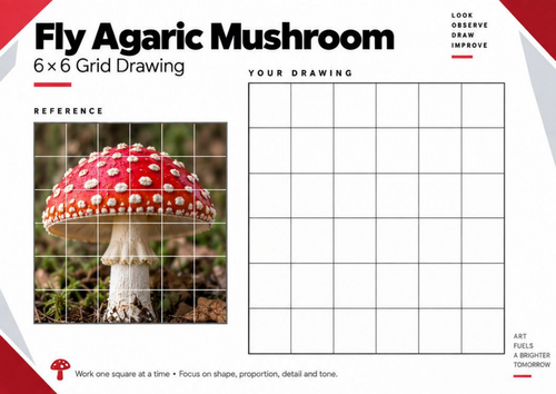 Fly Agaric Mushroom Grid Drawing Worksheet | KS3 & KS4 Art