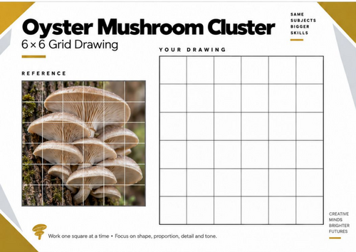 Oyster Mushroom Cluster Grid Drawing Worksheet | KS3 & KS4 Art