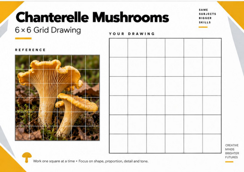 Chanterelle Mushrooms Grid Drawing Worksheet | KS3 & KS4 Art