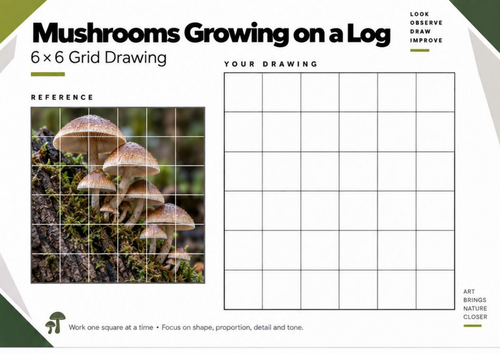 Mushrooms Growing on a Log Grid Drawing Worksheet | KS3 & KS4 Art