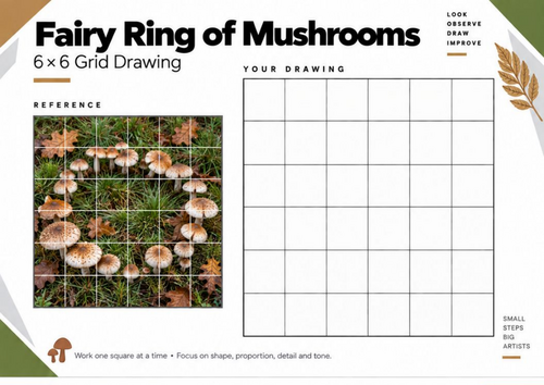 Fairy Ring of Mushrooms Grid Drawing Worksheet | KS3 & KS4 Art