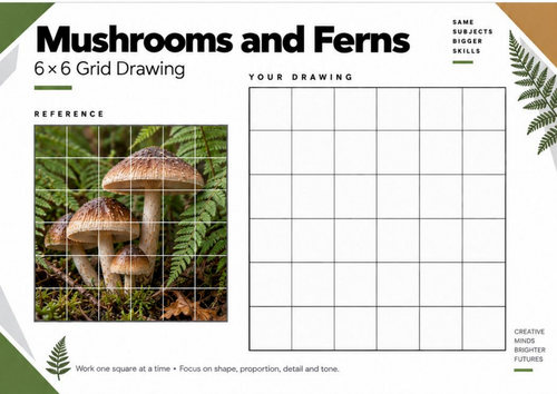 Mushrooms and Ferns Grid Drawing Worksheet | Woodland KS3 & KS4 Art