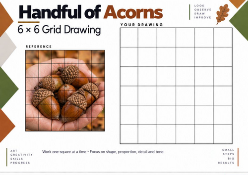 Handful of Acorns – 6 × 6 Observational Grid Drawing Worksheet | KS3 & KS4