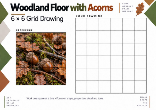 Woodland Floor with Acorns – Nature Grid Drawing Worksheet | KS3 & KS4