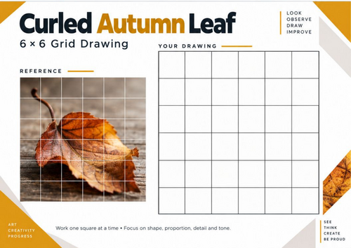 Curled Autumn Leaf Grid Drawing Worksheet | Autumn Art | KS3 & KS4