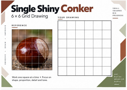 Single Shiny Conker Grid Drawing Worksheet | Autumn Art | KS3 & KS4